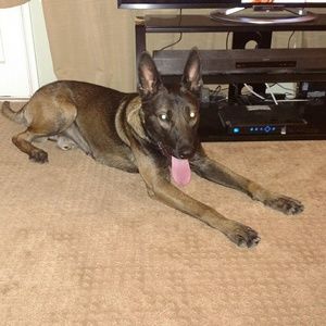 Meet your Posher, Gary